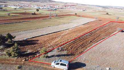 Kütahya Merkez Doğalar'da Satılık 2920M2 Tarla 35