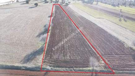 Kütahya Merkez Doğalar'da Satılık 2920M2 Tarla 31