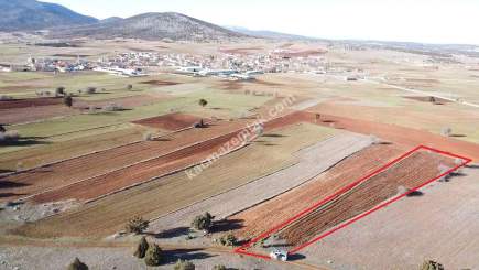 Kütahya Merkez Doğalar'da Satılık 2920M2 Tarla 20