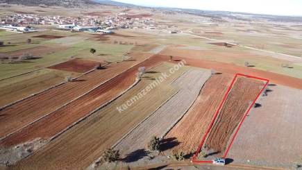 Kütahya Merkez Doğalar'da Satılık 2920M2 Tarla 24