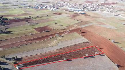 Kütahya Merkez Doğalar'da Satılık 2920M2 Tarla 33