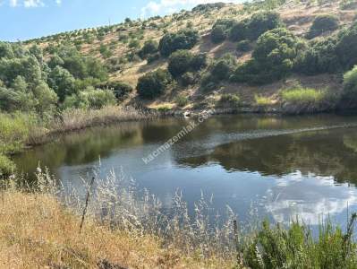 Manisa Kulada Satılık Badem Ve Ceviz Tarlası 13