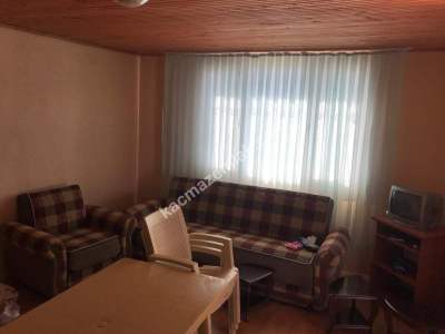 Manisa Kulada Satılık Badem Ve Ceviz Tarlası 20