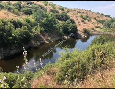 Manisa Kulada Satılık Badem Ve Ceviz Tarlası 6