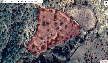 Soma Türkali Mah. Satılık Köy Arazisi 3