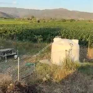 Muğla Milas Bahçeburun Köyü'nde Satılık Tarla 4