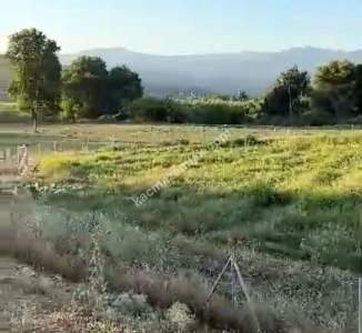 Muğla Milas Bahçeburun Köyü'Nde Satılık Tarla