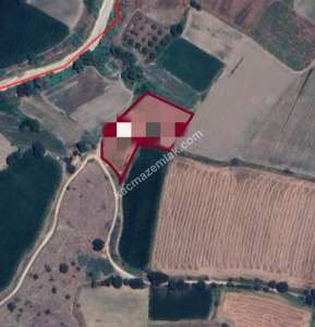 Muğla Milas Bahçeburun Köyü'nde Satılık Tarla 6