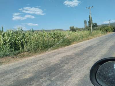 Muğla Bodrum Havaalanı Dibinde Uygun Fiyat Satılk Tarla 2