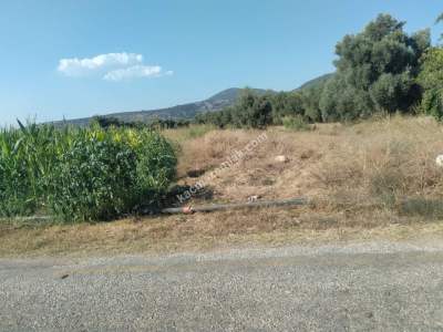 Muğla Bodrum Havaalanı Dibinde Uygun Fiyat Satılk Tarla 3