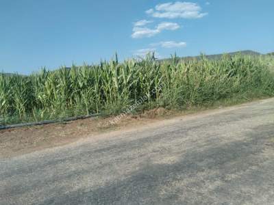 Muğla Bodrum Havaalanı Dibinde Uygun Fiyat Satılk Tarla 1