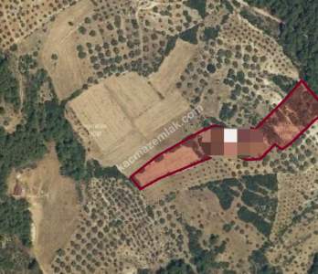 Muğla Milas'ta Satılık Tarla 1