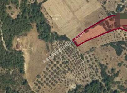 Muğla Milas'ta Satılık Tarla 3