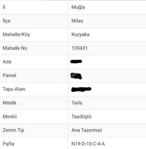 Kuzyaka Köyünde Satılık Tarla 2