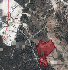 Ortaköy'de Satılık Tarla 2