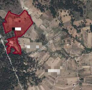 Ortaköy'de Satılık Tarla 1