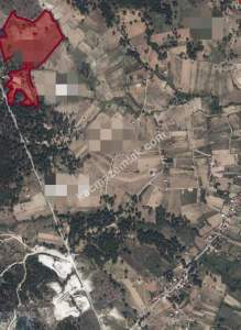 Ortaköy'de Satılık Tarla 3