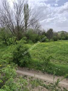 Ürgüp'te Fatih Mh Merkezde 1698 M2 Satılık Tarla/Bahçe 2