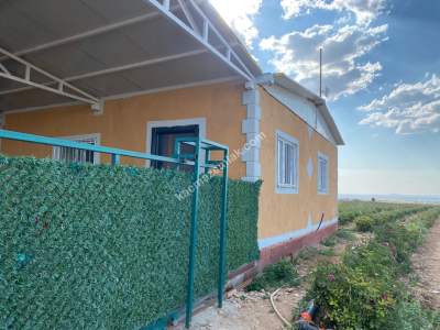 Niğde’de Şam Gülü Çiftliği Satışta! 20