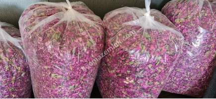 Niğde’de Şam Gülü Çiftliği Satışta! 9