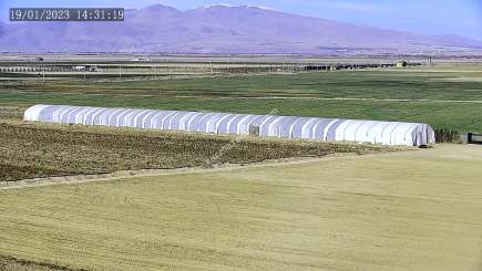 Niğde’de Şam Gülü Çiftliği Satışta! 28