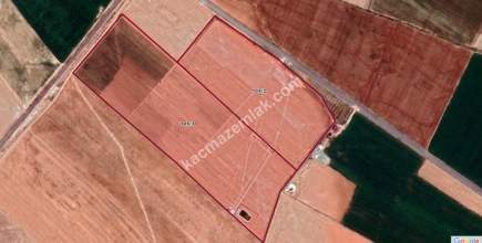 Niğde’de Şam Gülü Çiftliği Satışta! 8