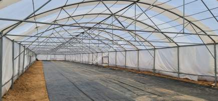 Niğde’de Şam Gülü Çiftliği Satışta! 27