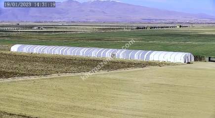 Niğde’de Şam Gülü Çiftliği Satışta! 13