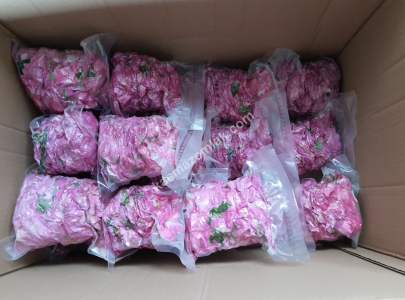 Niğde’de Şam Gülü Çiftliği Satışta! 10