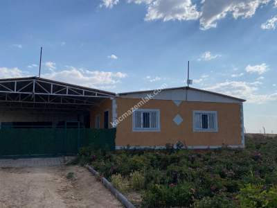 Niğde’de Şam Gülü Çiftliği Satışta! 21