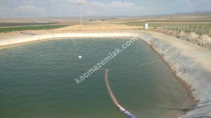 Niğde’de Şam Gülü Çiftliği Satışta! 29