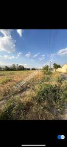 Niğde Bor Sırasöğütlerde Satılık Tarla 2