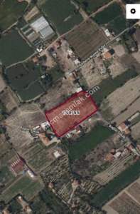 Niğde Bor Sırasöğütlerde Satılık Tarla 4