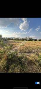 Niğde Bor Sırasöğütlerde Satılık Tarla 7