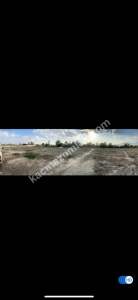 Niğde Bor Sırasöğütlerde Satılık Tarla 2