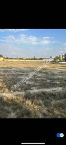 Niğde Bor Sırasöğütlerde Satılık Tarla 1