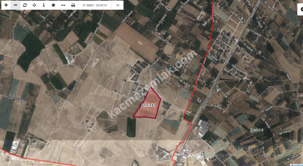 Niğde Merkez Sazlıca Aşağı Satılık Tarla 4