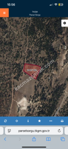 Niğde Ulukışla Kılanda Satılık Kiraz Bahçesi 14