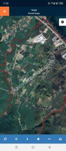 Unye Güzelyalı Mah Satılık Fındık Bahçesı 4