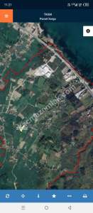 Unye Güzelyalı Mah Satılık Fındık Bahçesı 3