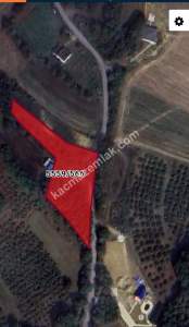 Sakarya Adapazarı Büyük Hataplı Köyünde Satılık Tarla 2