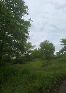 Sakarya Adapazarı Büyük Hataplı Köyünde Satılık Tarla 4