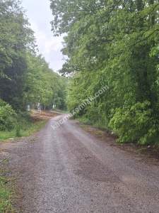 Sakarya Adapazarı Büyük Hataplı Köyünde Satılık Tarla 3