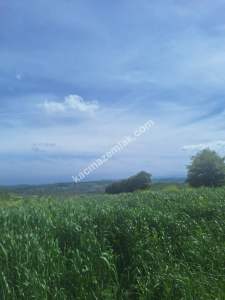 Sakarya Adapazarı Örentepe'de Yatırımlık Uygun Tarla 6