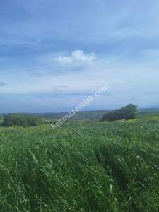 Sakarya Adapazarı Örentepe'de Yatırımlık Uygun Tarla 1