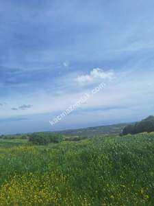 Sakarya Adapazarı Örentepe'de Yatırımlık Uygun Tarla 4