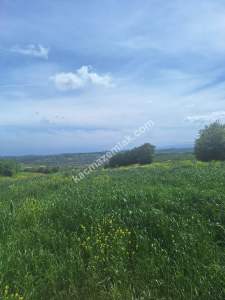 Sakarya Adapazarı Örentepe'de Yatırımlık Uygun Tarla 3