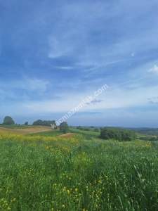 Sakarya Adapazarı Örentepe'de Yatırımlık Uygun Tarla 5