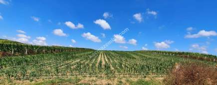 Yatırım Değeri Yüksek,Kaynarca Merkeze 10Dk, İmar Yanı 6