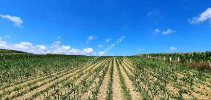 Yatırım Değeri Yüksek,Kaynarca Merkeze 10Dk, İmar Yanı 4